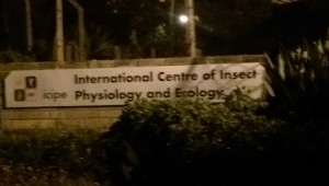 icipe's main entrance and gate at night