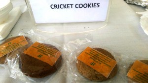 Cricket cookies 