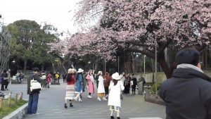 women-cherry-tree