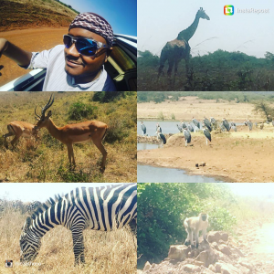 Someone is enjoying his Safari ride within Nairobi National Park