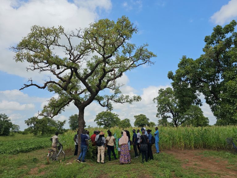 Combating Gender-Based Violence in rural Northern Ghana: Critical Insights into Pathways for Change